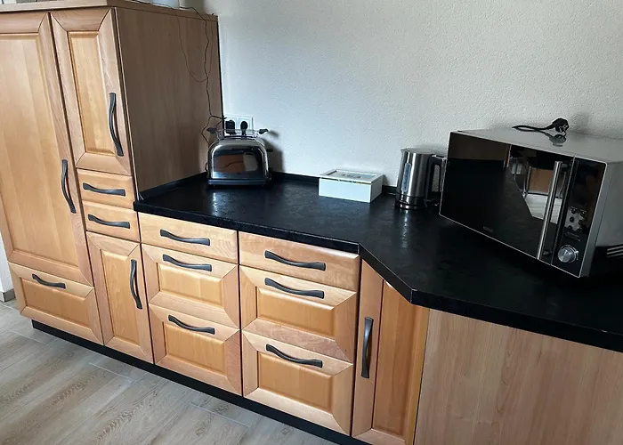 Cats Home And Apartment