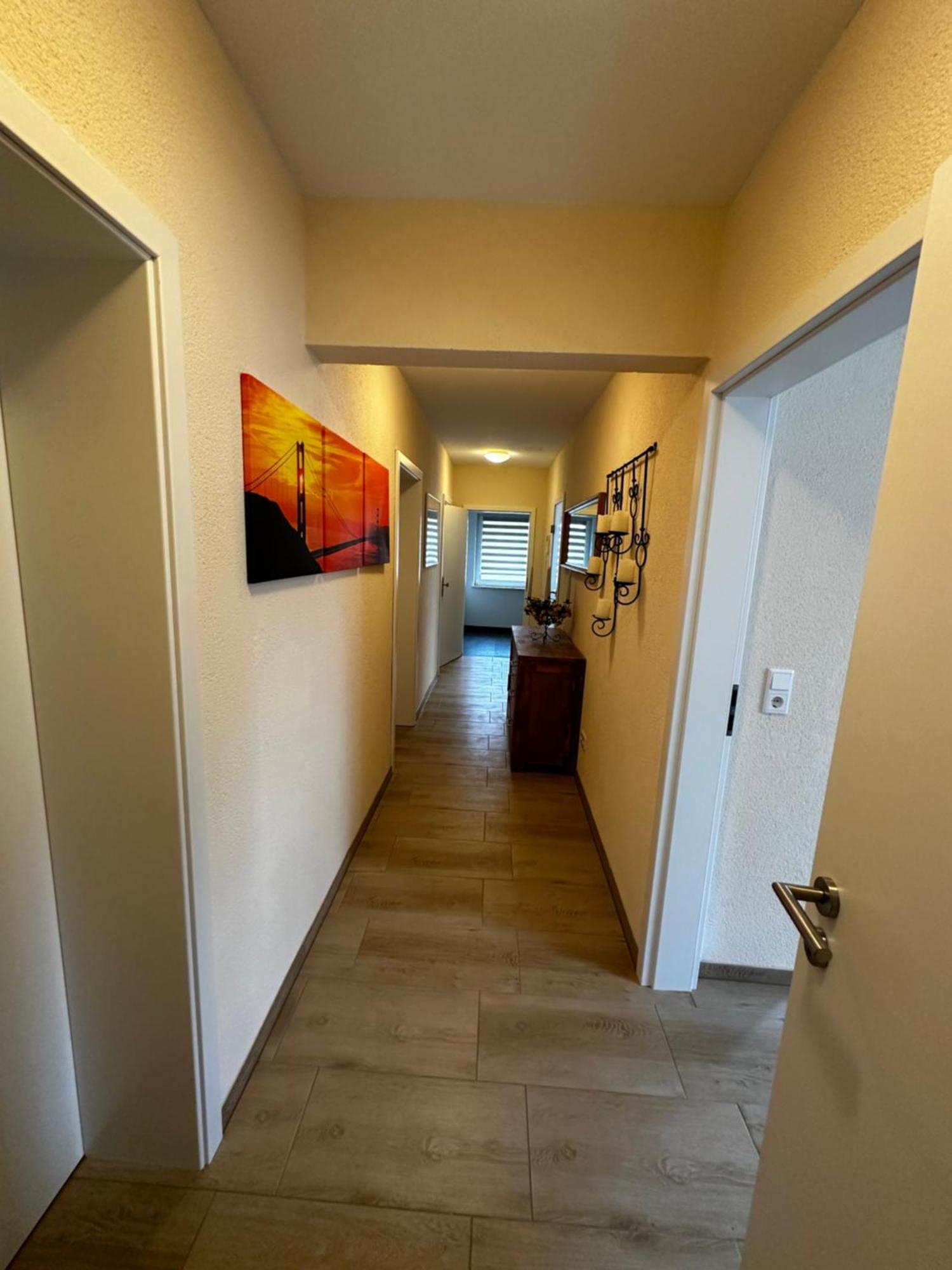 Cats And Apartment