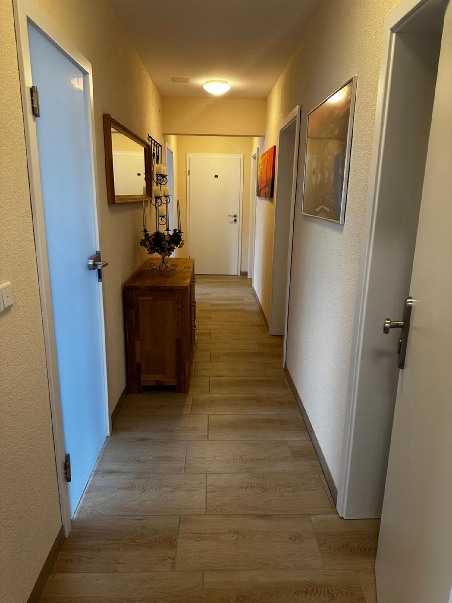 Apartment Cats And *