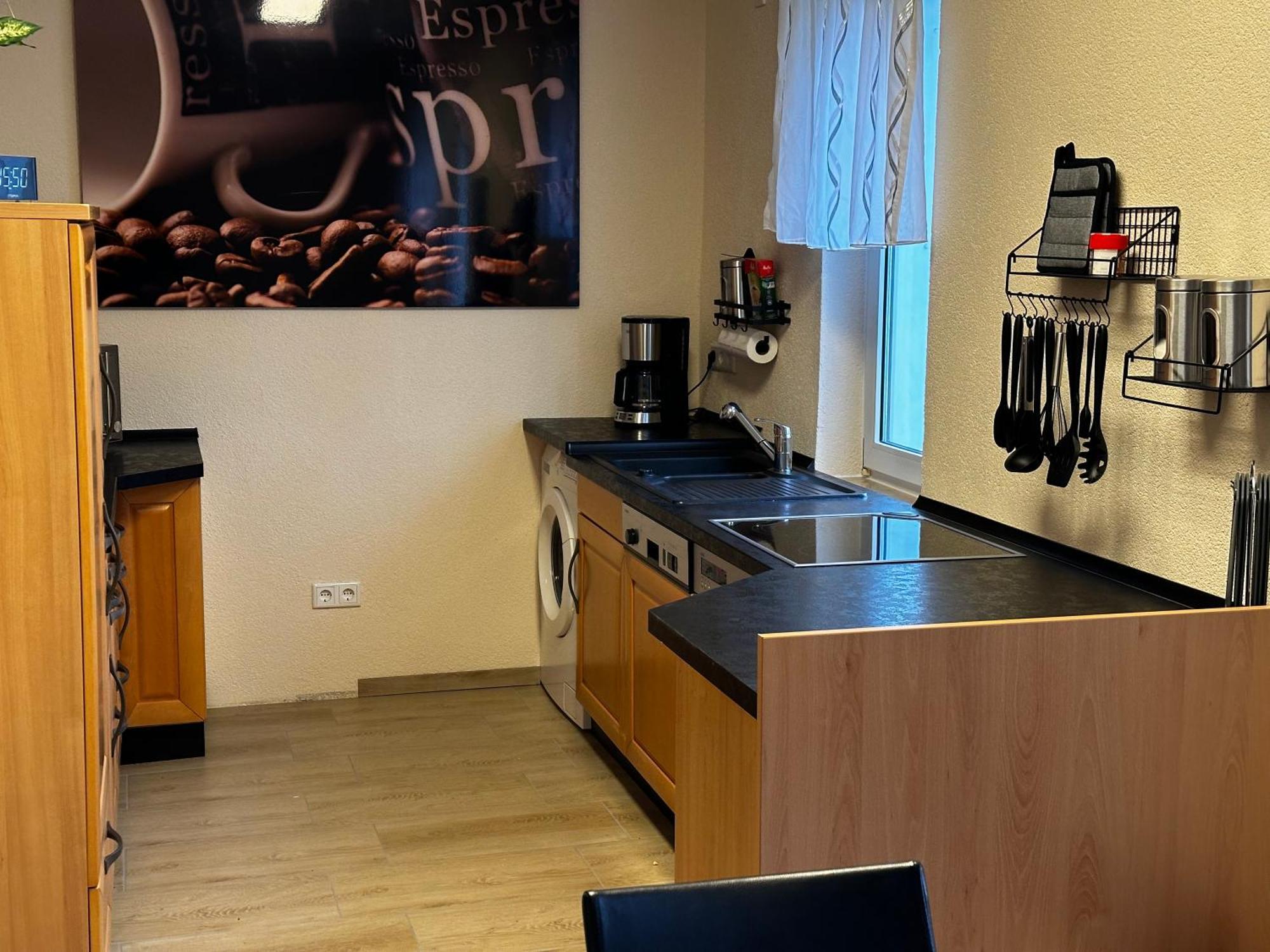 Apartment Cats And Bottrop